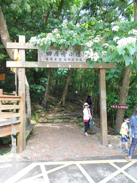 四月雪小徑：花都開好了～