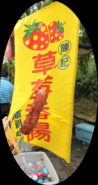 四月雪小徑：花都開好了～