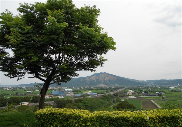 四月雪小徑：花都開好了～