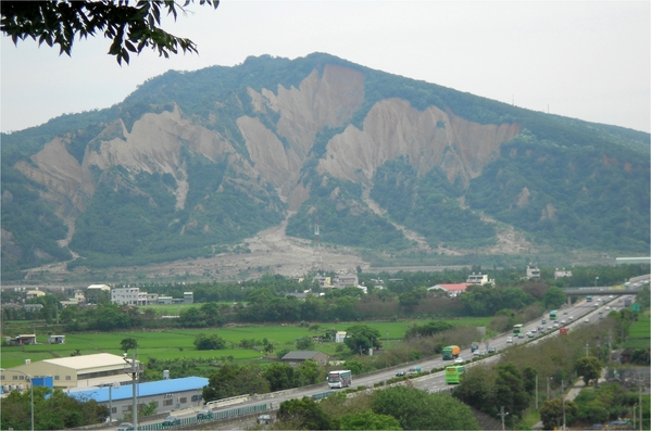 四月雪小徑：花都開好了～