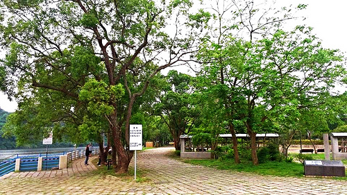 明德水庫風景區：【苗栗景點】明德水庫