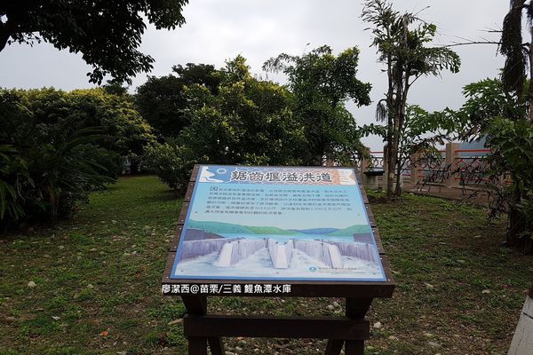 【苗栗/三義】鯉魚潭水庫