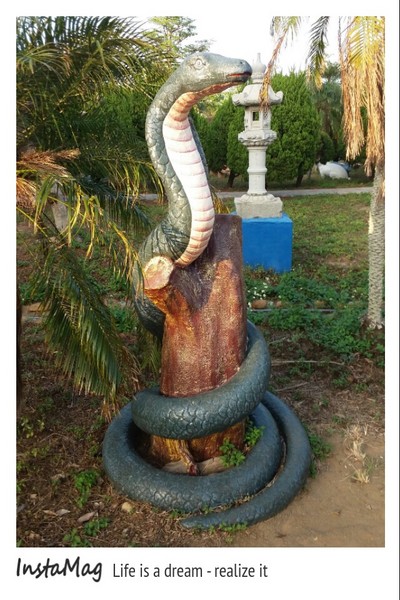 通霄-秋茂園：【苗栗景點】通霄秋茂園