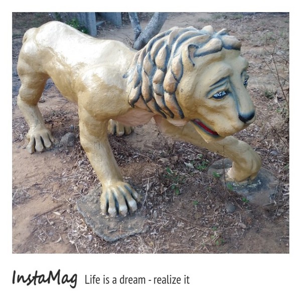 通霄-秋茂園：【苗栗景點】通霄秋茂園