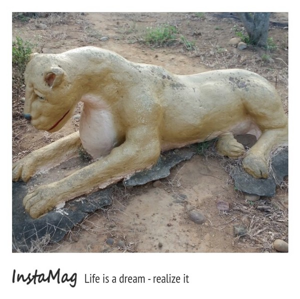 通霄-秋茂園：【苗栗景點】通霄秋茂園