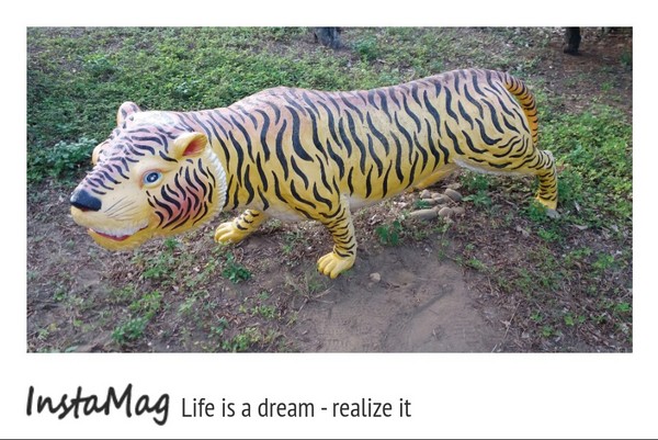 通霄-秋茂園：【苗栗景點】通霄秋茂園