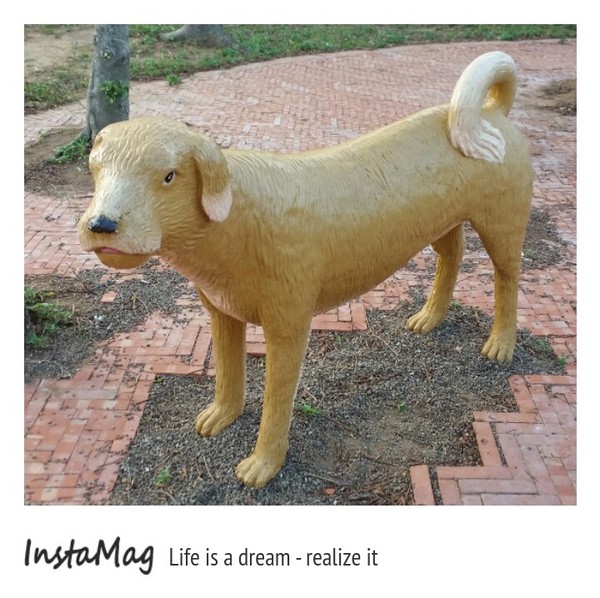 通霄-秋茂園：【苗栗景點】通霄秋茂園