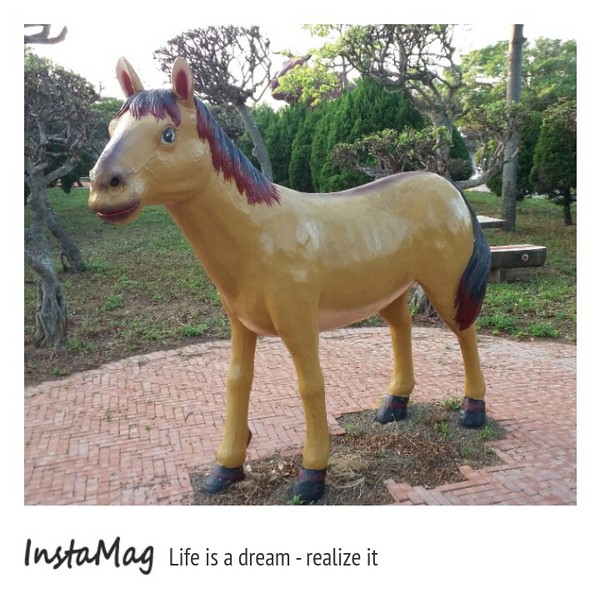 通霄-秋茂園：【苗栗景點】通霄秋茂園