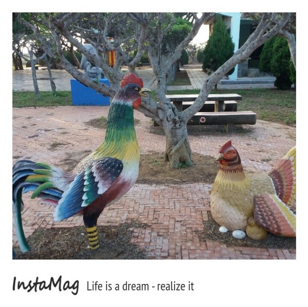 通霄-秋茂園：【苗栗景點】通霄秋茂園