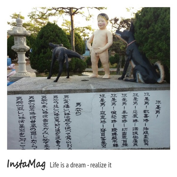 通霄-秋茂園：【苗栗景點】通霄秋茂園