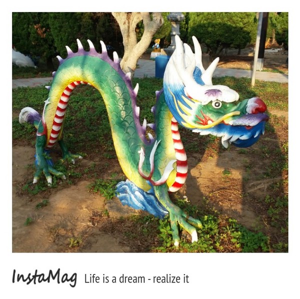 通霄-秋茂園：【苗栗景點】通霄秋茂園