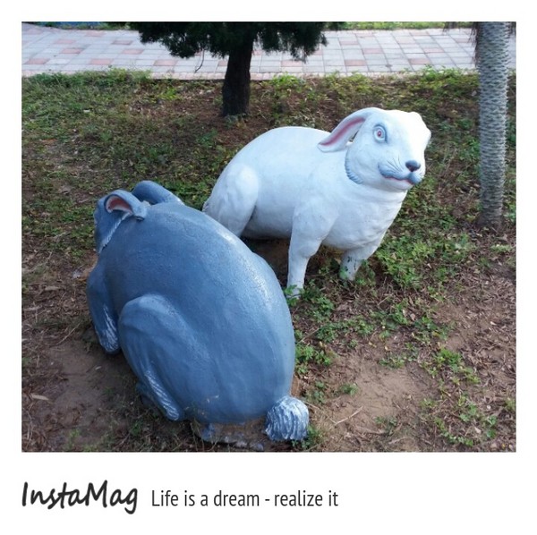 通霄-秋茂園：【苗栗景點】通霄秋茂園