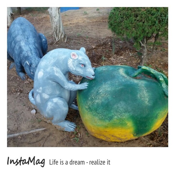 通霄-秋茂園：【苗栗景點】通霄秋茂園