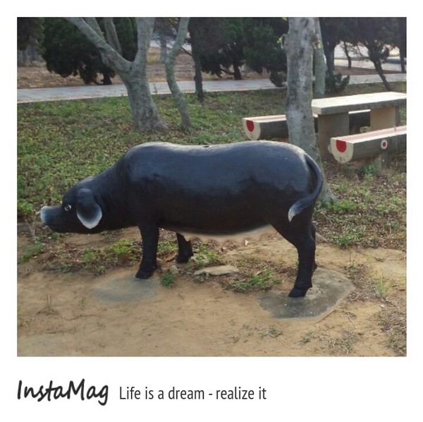 通霄-秋茂園：【苗栗景點】通霄秋茂園