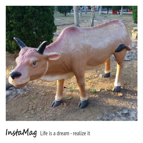 通霄-秋茂園：【苗栗景點】通霄秋茂園