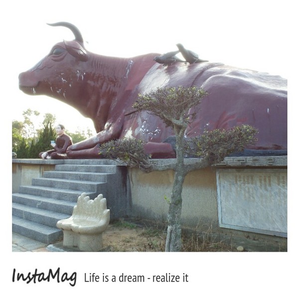 通霄-秋茂園：【苗栗景點】通霄秋茂園