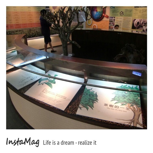 天仁茶文化園區：天仁茶文化園區