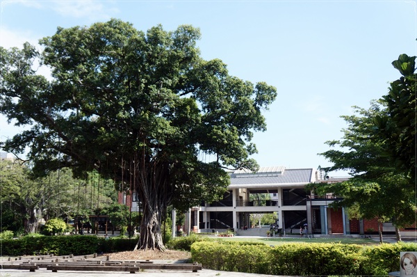 台南市忠義國小：[特色小學]台南忠義國小~百年建築藏身小學裡