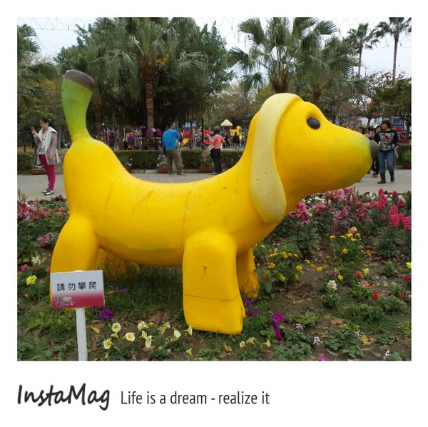 水萍塭公園：2015年百花祭水萍塭公園