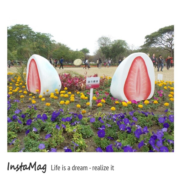 水萍塭公園：2015年百花祭水萍塭公園