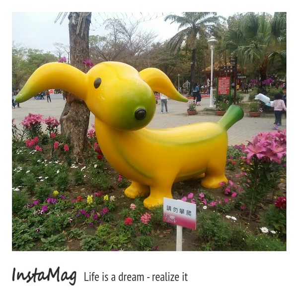 水萍塭公園：2015年百花祭水萍塭公園