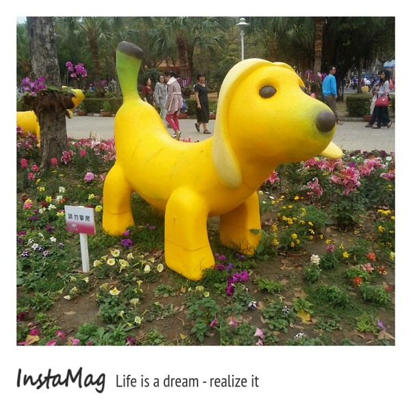 水萍塭公園：2015年百花祭水萍塭公園