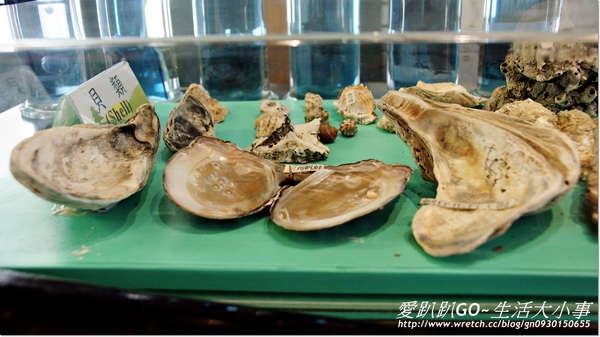 安平蚵灰窯文化館:【台南/安平區】哇~好大一顆鮮蚵..讓人垂涎三尺~蚵灰窯文化館