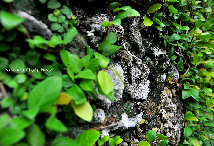 台南旅遊景點安平蚵灰寮08