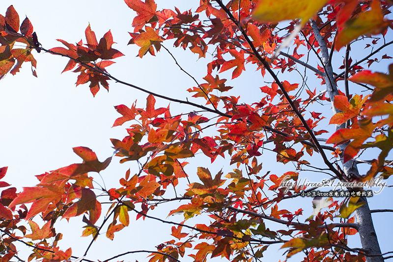 14.02.01-台南.奇美博物館
