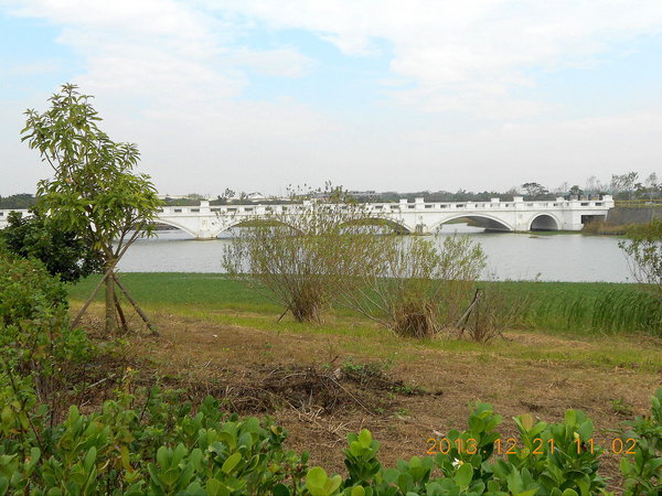 二空樹屋:新奇美博物館