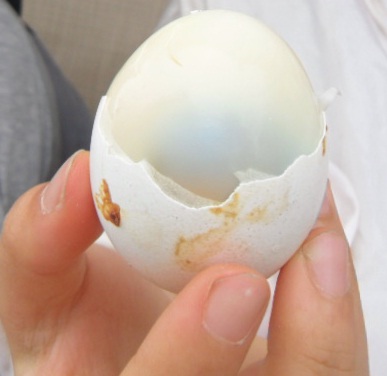 七股鹽山：台南最大顆的鹽_七股鹽山