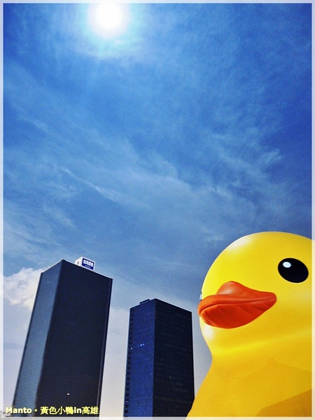 光榮碼頭(Glory Pier):『高雄。光榮碼頭』小鴨來襲。中秋月圓賞小鴨