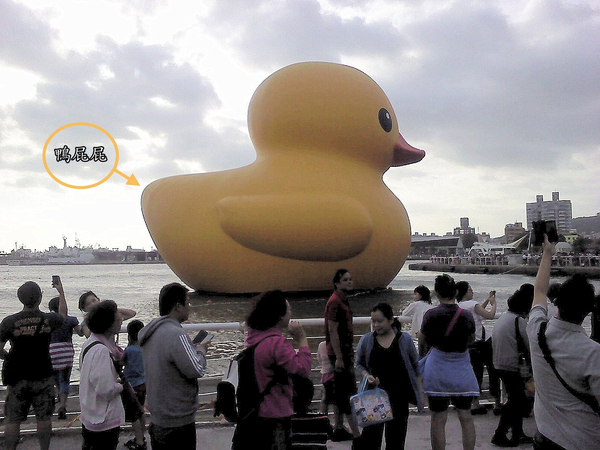 【高雄】光榮碼頭黃色小鴨入港：黃色小鴨畢業典禮