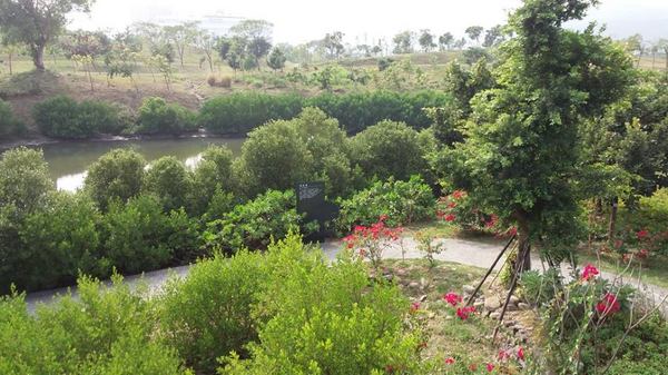 中都濕地公園:【高雄景點】中都濕地公園