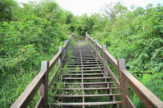 漯底山自然公園-18