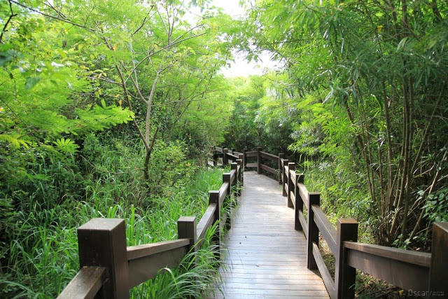 漯底山自然公園-9