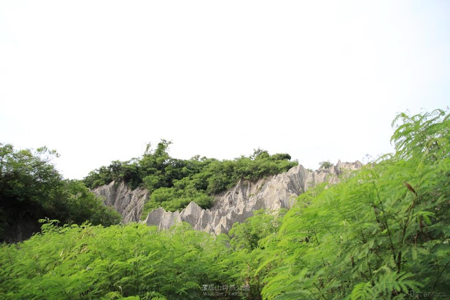 漯底山自然公園-13