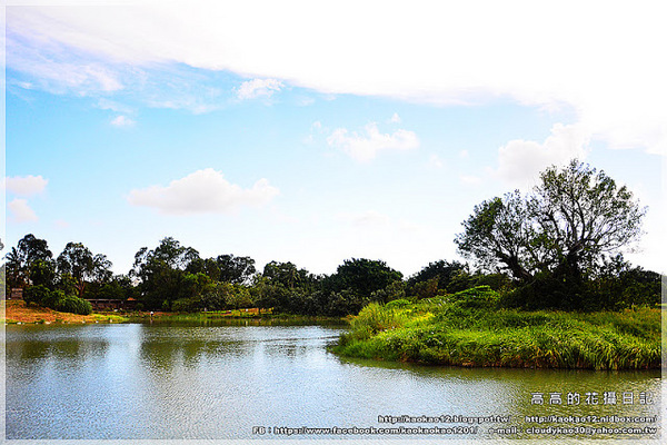 衛武營都會公園:【高雄】鳳山區。衛武營都會公園 隨拍