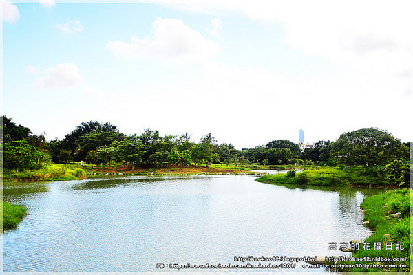 衛武營都會公園:【高雄】鳳山區。衛武營都會公園 隨拍