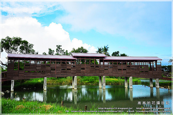 衛武營都會公園:【高雄】鳳山區。衛武營都會公園 隨拍