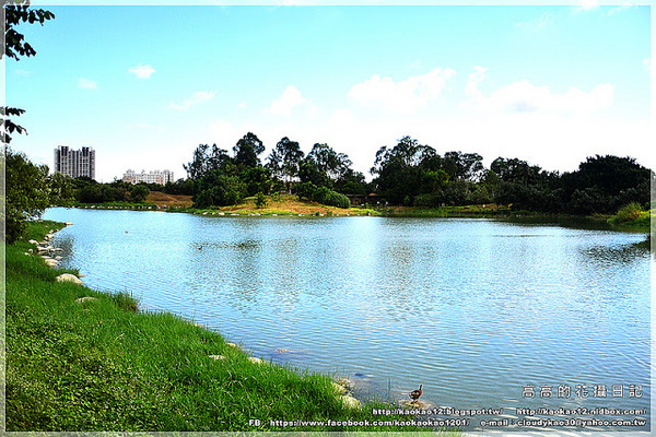 衛武營都會公園:【高雄】鳳山區。衛武營都會公園 隨拍