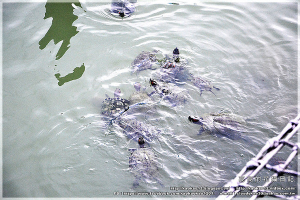 衛武營都會公園:【高雄】鳳山區。衛武營都會公園 隨拍