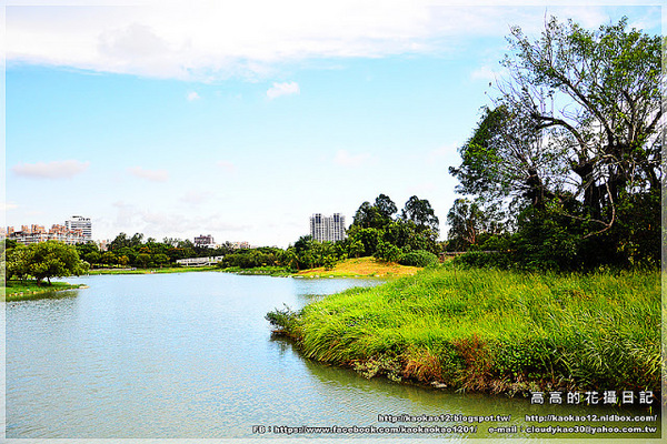 衛武營都會公園:【高雄】鳳山區。衛武營都會公園 隨拍