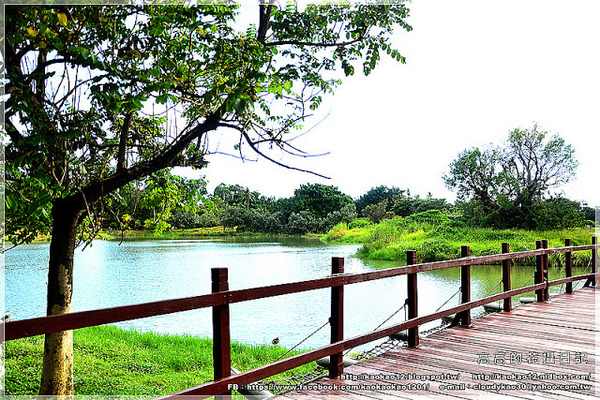 衛武營都會公園:【高雄】鳳山區。衛武營都會公園 隨拍