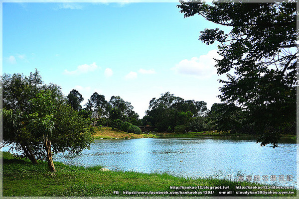 衛武營都會公園:【高雄】鳳山區。衛武營都會公園 隨拍