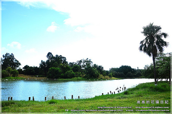 衛武營都會公園:【高雄】鳳山區。衛武營都會公園 隨拍