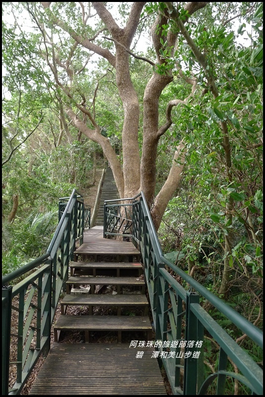 碧潭和美山步道20.JPG