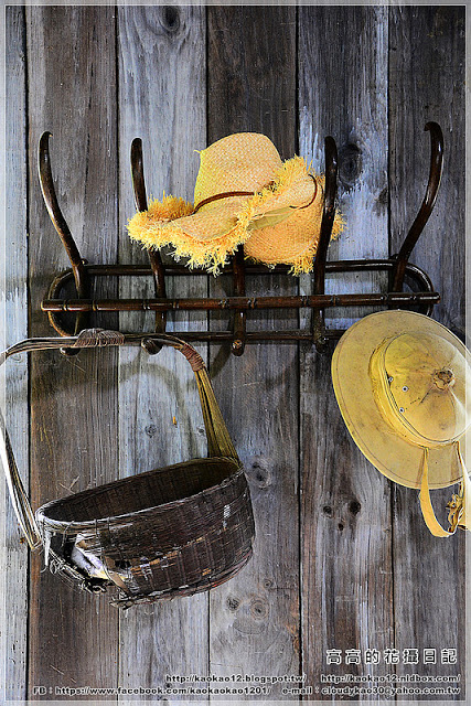 奮起湖現烤甜甜圈：【嘉義】竹崎鄉。奮起湖百年檜木現烤甜甜圈 ＆ 星空小木屋