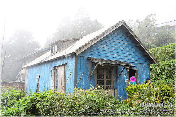 奮起湖現烤甜甜圈：【嘉義】竹崎鄉。奮起湖百年檜木現烤甜甜圈 ＆ 星空小木屋