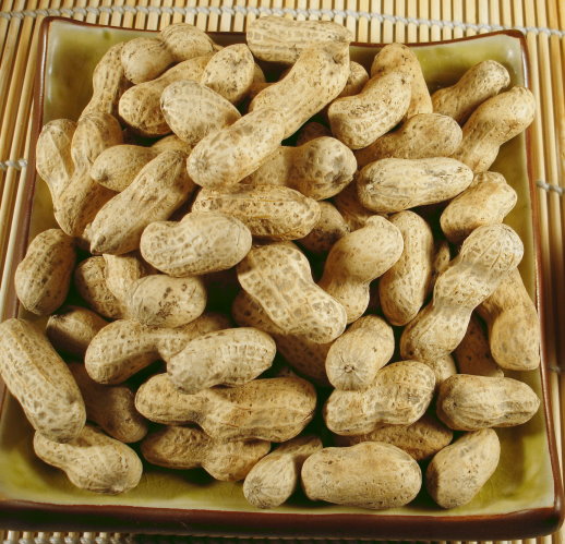 金讚成食品行:新港美食-金讚成花生糖&鴨肉羹